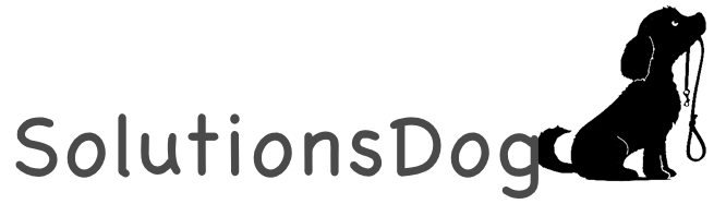 SolutionsDog, promenade de chien et cours privé en basse-Veveyse (Fribourg)